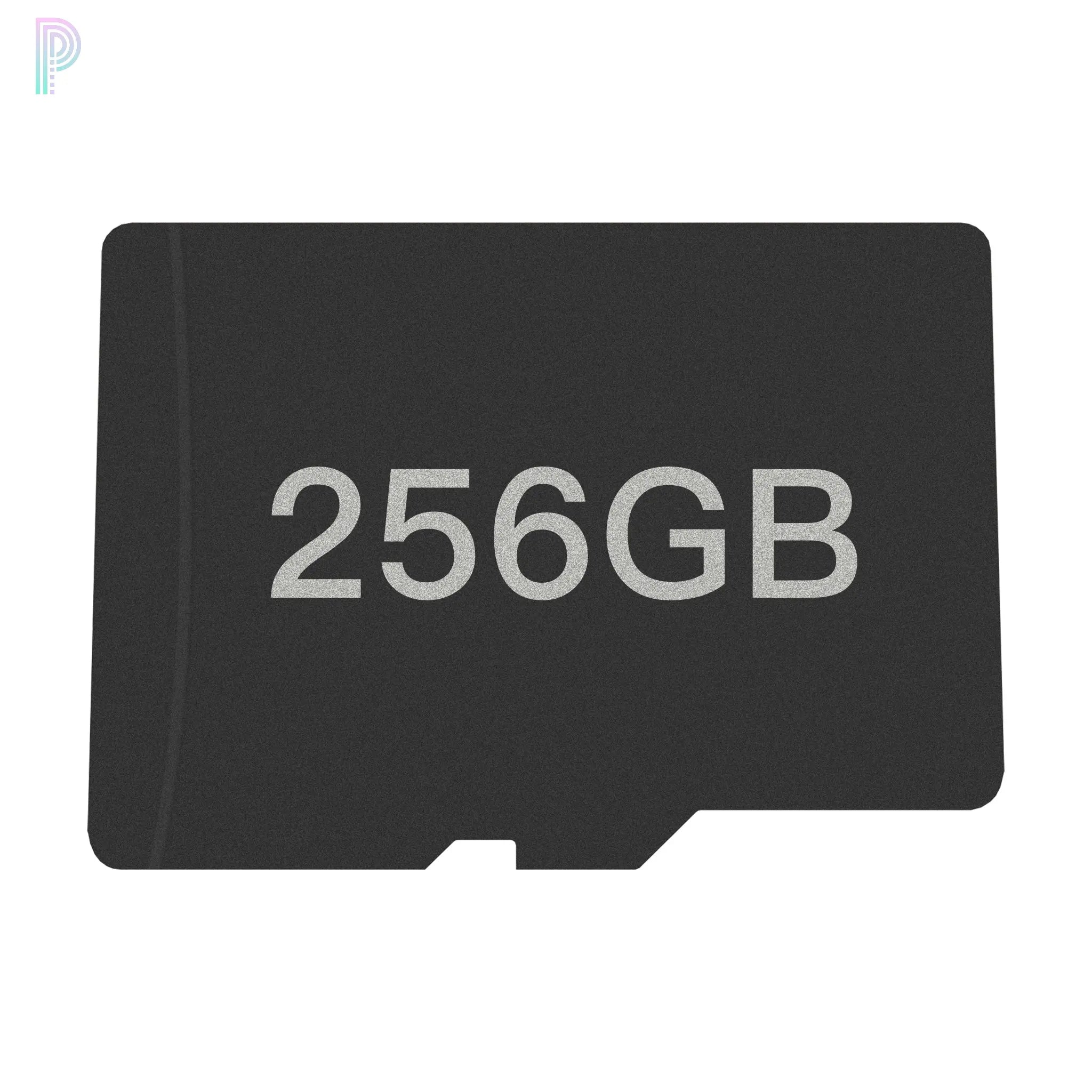 Odin 256GB SD Card AYN